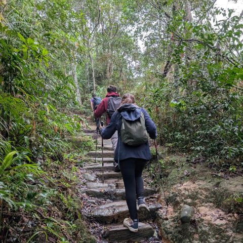 Aventuras Grupo Escoteiro Anchieta em Florianópolis SC